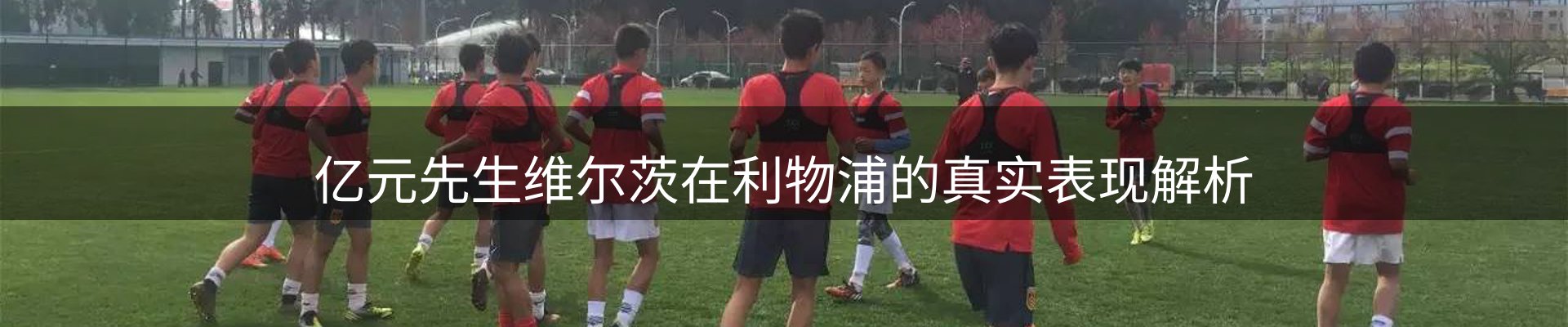 网站资讯