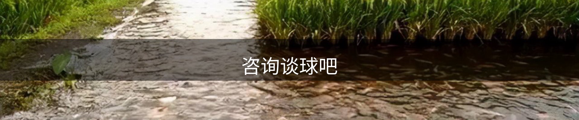 咨询谈球吧