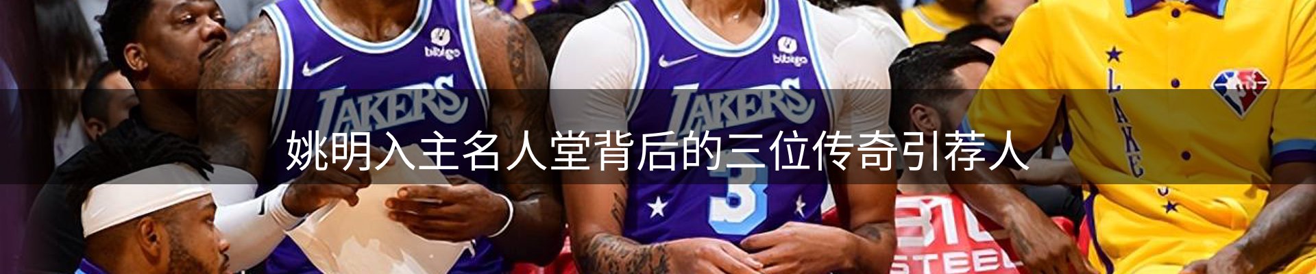 网站资讯