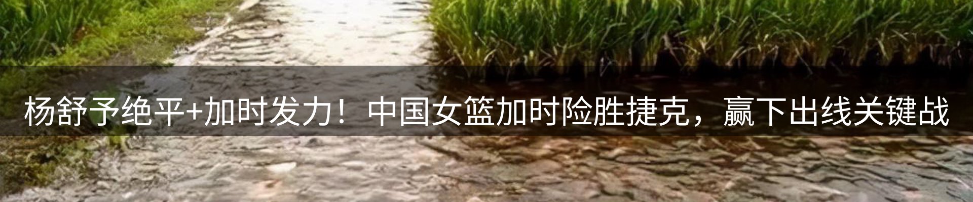 平台资讯