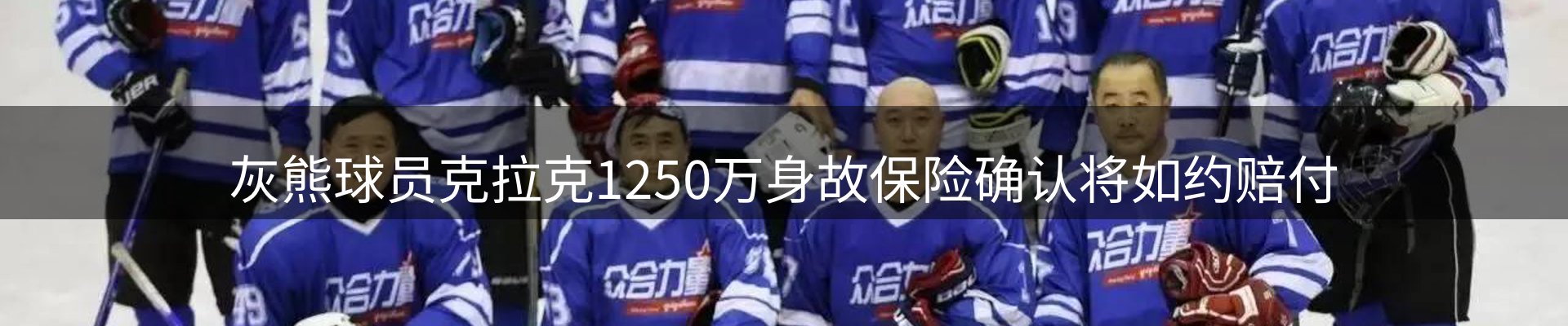 网站资讯