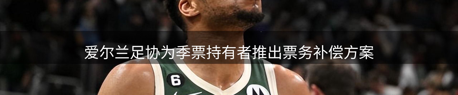 网站资讯