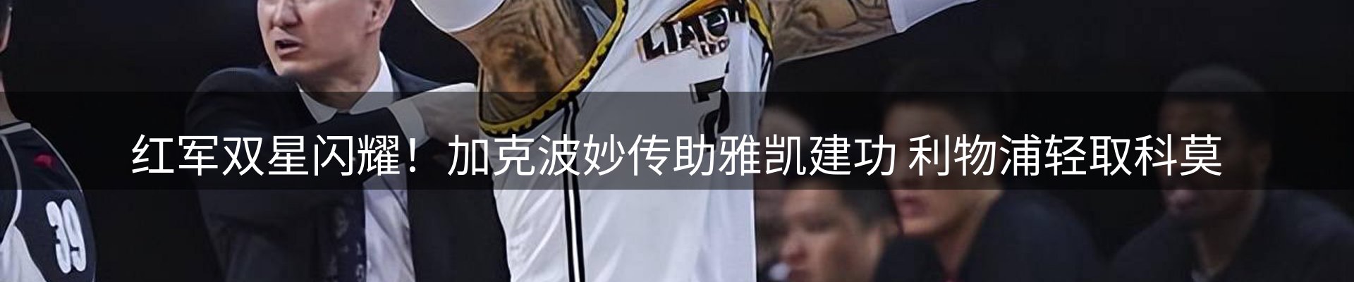 网站资讯