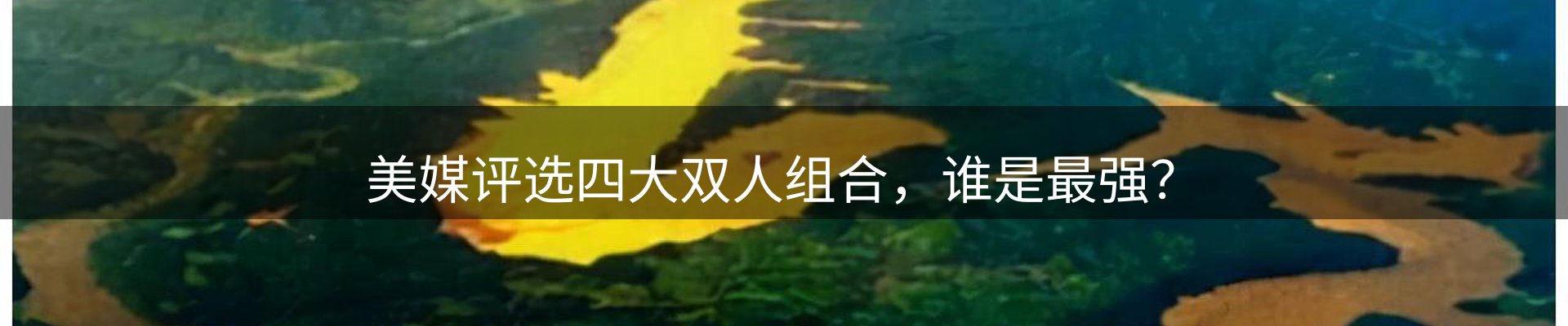 网站资讯