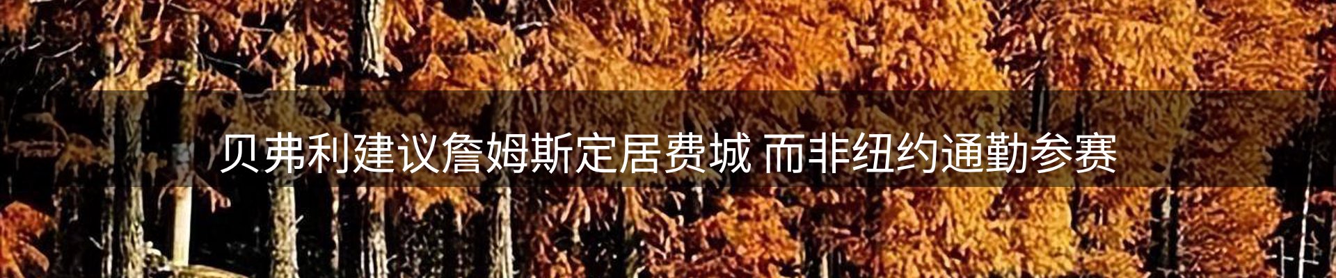 网站资讯